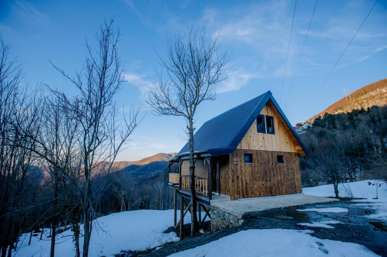 Maksudiye Selale Tatil Koyu Villa Geyve ภายนอก รูปภาพ